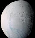 As it swooped past the south pole of Saturn's moon Enceladus on July 14, 2005, Cassini acquired high resolution views of this puzzling ice world. From afar, Enceladus exhibits a bizarre mixture of softened craters and complex, fractured terrains. This large mosaic of 21 narrow-angle camera images have been arranged to provide a full-disc view of the anti-Saturn hemisphere on Enceladus. This mosaic is a false-colour view that includes images taken at wavelengths from the ultraviolet to the infrared portion of the spectrum, and is similar to another, lower resolution false-colour view obtained during the flyby. In false-colour, many long fractures on Enceladus exhibit a pronounced difference in colour (represented here in blue) from the surrounding terrain.

A leading explanation for the difference in colour is that the walls of the fractures expose outcrops of coarse-grained ice that are free of the powdery surface materials that cover flat-lying surfaces.

The original images in the false-colour mosaic range in resolution from 350 to 67 metres per pixel and were taken at distances ranging from 61 300 to 11 100 kilometres from Enceladus. The mosaic is also part of a movie sequence of images from this flyby.