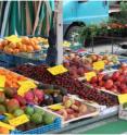 Many fruit and vegetable varieties at local markets are pollinated by bees and other animals for either seed or fruit production and are rich in minerals and vitamins.