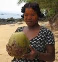 A chef wearing avocado sunscreen holds a sweet nui vai coconut. The photo was taken in the Masoala Peninsula of Madagascar by plant biologist Bee Gunn while she was collecting coconut leaf tissue for DNA analysis.The DNA of the Madagascar coconuts turned out to be particularly interesting, preserving, as it did, news of the arrival of ancient Austronesians at the island off Africa.
