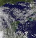The GOES-13 satellite captured this image of Tropical Storm Arlene at 1431 UTC (10:31 a.m. EDT) on June 30, 2011 as it was inland and just west of Cabo Rojo, Mexico.