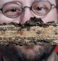 Mike Scharf's work with termites has shown that the insects' digestive systems may help break down woody biomass for biofuel production.