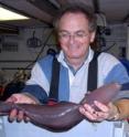 Dr. David Billett of the UK's National Oceanography Centre holds a large sea cucumber.