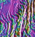 A view of the bends of the fracture zones on the Southwest Indian Ridge caused by the slowdown of Africa in response to the Reunion plume head. The image shows the gravity field.