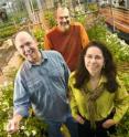 Jeff Burr, greenhouse manager; Richard Veilleux, professor of horticulture; and Suzanne Piovano, research specialist, worked with students on the potato breeding project in Virginia Tech's greenhouses.