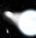 Two white dwarfs have been discovered on the brink of a merger. In just 900,000 years, material will start to stream from one star to the other (as shown in this artist's conception), beginning the process that may end with a spectacular supernova explosion. Watching these stars fall in will allow astronomers to test Einstein's theory of general relativity as well as the origin of a special class of supernovae.