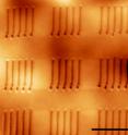 This image shows the topography (by atomic force microscope) of a ferroelectric PTO line array crystallized on a 360-nanometer thick precursor film on polyimide.  The scale bar corresponds to one micron.