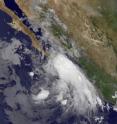 This infrared image from the GOES-11 satellite at 1200 UTC (8:00 a.m. EDT) on July 19 shows Tropical Storm Dora's clouds are reaching western coastal Mexico.