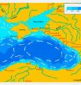 Sediments beneath the Black Sea have preserved DNA signatures of a virus and its algal host.