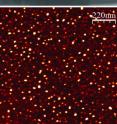 The upper part of the picture shows the contact angle; the lower part a scanning force microscopy image of the adsorbed oligomers on a hydrophobic surface.