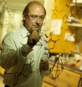 Guy Bertrand is a distinguished professor of chemistry at UC Riverside. Guy Bertrand is a distinguished professor of chemistry at UC Riverside.