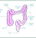 The researchers sampled the right (ascending) and left (descending) colon and the rectum.The composition of hydrogen-utilizing microbes varied among the sample sites and each subject possessed a unique microbial community profile. The researchers sampled the right (ascending) and left (descending) colon and the rectum.The composition of hydrogen-utilizing microbes varied among the sample sites and each subject possessed a unique microbial community profile.