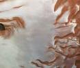 This image was acquired by the Mars Express High-Resolution Stereo Camera on May 17, 2010, and shows a part of the northern polar region of Mars at the northern hemisphere summer solstice.

The polar ice deposits follow the seasonal cycles. Studies made by Mars Express’s OMEGA instrument shows that the cap is covered by frozen water and carbon dioxide ice in winter and spring but by this point in the martian year all of the carbon dioxide ice has warmed and evaporated into the planet’s atmosphere.

Only water ice is left behind, which shows up as bright white areas in this picture. From these layers, large bursts of water vapour are occasionally released into the atmosphere.

In winter, part of the atmosphere recondenses as frost and snow on the northern cap. These seasonal deposits can extend as far south as 45°N latitude and be up to a metre thick.

Another phenomenon occurs on the curved scarps of the northern polar cap, such as the Rupes Tenuis slope (on the left of this image). During spring, the seasonal carbon dioxide layer is covered by water frost. At certain times, winds remove the the millimetre-thick top layer of frozen water, revealing the carbon dioxide ice below.

These processes bear witness to a dynamic water cycle on Mars and may lead to the varying accumulation of water ice over the polar cap.