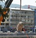 The lion uncovered at Tayinat citadel gate in southeastern Turkey by University of Toronto archaeologists is being transported to the Antakya Archaeological Museum.