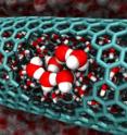 Caltech researchers believe entropy can explain why water spontaneously (and unexpectedly) fills carbon nanotubes. This image from the Caltech team's simulations features a cutaway of a 2.0 nanometer-diameter carbon nanotube, revealing confined water molecules.