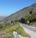 Many developed countries have lost their natural forests. These bare mountain slopes in Crete which were once covered in oak forests before people cut them down and goats ate the rest. With proper management they could once again be forested.