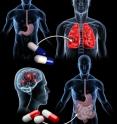The researchers found that an anti-ulcer medicine might treat lung cancer and an anticonvulsant might alleviate inflammatory bowel diseases, The researchers found that an anti-ulcer medicine might treat lung cancer and an anticonvulsant might alleviate inflammatory bowel diseases,