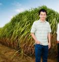 Professor Praveen Kumar, right, and graduate student Phong V.V. Le found that bioenergy crops such as miscanthus and switchgrass use more water than corn, a consideration that has been left out of the cost-benefit analysis for land conversion.