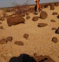 Study co-author, Craig Feibel, is among the team of researchers that returned in 2007 to West Turkana to put dates on hand axes excavated earlier.