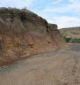 Tools made by early humans were found at Kokiselei, Kenya, in Lake Turkana's ancient shoreline sediments pictured above.