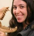 This is researcher Marie Attard with a thylacine skull.