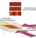 The graphene microribbon array can be tuned in three ways. Varying the width of the ribbons changes plasmon resonant frequency and absorbs corresponding frequencies of terahertz light. Plasmon response is much stronger when there is a dense concentration of charge carriers (electrons or holes), controlled by varying the top gate voltage. Finally, light polarized perpendicularly to the ribbons is strongly absorbed at the plasmon resonant frequency, while parallel polarization shows no such response.