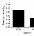 People yawn less frequently when outdoor temperatures exceed body temperature, suggesting that yawning could be a natural brain-cooling mechanism, Princeton University and University of Arizona researchers reported. They recorded yawning frequency in 160 people in summer and winter in Tucson, Ariz., 80 for each season. They found that nearly half of participants yawned in winter, opposed to less than a quarter in the summertime.