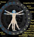 The circadian clock illustrates the many diseases that manifest in a person during certain times of the day. The circadian clock illustrates the many diseases that manifest in a person during certain times of the day.