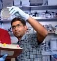 Salk scientists discover a critical component of the biological clock. Dr. Satchidananda Panda's laboratory has identified a gene that is required for the circadian clock genes to be turned on. Here Dr. Panda (right) and his postdoc and first author Dr. Luciano DiTacchio (left) examine a construct used in their studies.