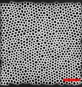 This is a network laser based on feathers with the channel-type nanostructure. This laser consists of interconnecting nano-channels (white) in a semiconductor membrane. (Scale bar = 2 micrometers.) This is a network laser based on feathers with the channel-type nanostructure. This laser consists of interconnecting nano-channels (white) in a semiconductor membrane. (Scale bar = 2 micrometers.)