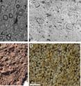 Meteorite impact ejecta (left) compared with volcanic deposits (right) showing closely similar structures made of dust particles.

The top two photos show accretionary lapilli in density current deposits, whereas bottom two photos show pellets that formed when dust in the atmosphere clumped together and simply fell onto the land surface.