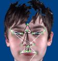 Aldridge mapped 17 points on the face, such as the corner of the eye and the point of the nose, and then calculated the distances between each of the points to determine if there were differences in the shape of the face.
