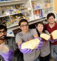 Displaying their VitaYeast bread, from left, are Johns Hopkins undergrads Ashan Veerakumar, Arjun Khakhar, Steffi Liu, Daniel Wolozny and Noah Young.