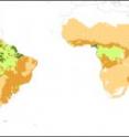 The mutual stability of savannas and forests is most at risk in tropical Africa and South America, the researchers report. The map illustrates areas that are dry and dominated by savanna (light orange); support both biomes but are primarily savanna (orange); support both habitats but are primarily forest (light green); and high-rainfall regions that are heavily forested (dark green).