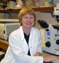 This is Jane Burns, M.D. This is Jane Burns, M.D.