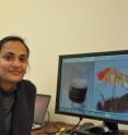 Anupama Dahanukar is an assistant professor of entomology at UC Riverside.