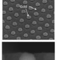These electron microscope images show an experiment in which Princeton electrical engineer Stephen Chou showed that blocking a hole in a thin metal film could cause more light to pass through the hole than leaving the hole unblocked. The top image shows an array of holes with gold caps, each of which is 40 percent bigger than the hole on which it sits. The bottom image shows a cross-section view of one hole with the cap sitting on top. The hole covered with the cap surprisingly allows more light to be transmitted through the film than a hole without the cap, Chou's research team found.