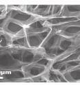 A new study from Rensselaer Polytechnic Institute demonstrates how graphene foam, seen here in a scanning electron micrograph, can outperform leading commercial gas sensors in detecting potentially dangerous and explosive chemicals. The discovery opens the door for a new generation of gas sensors to be used by bomb squads, law enforcement officials, defense organizations, and in various industrial settings.