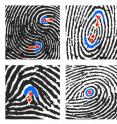 These examples of the new standards Extended Features Set show forensic scientists how to mark core locations (clockwise from from top left) for a double loop whorl, plain whorl, central pocket loop whorl and tented arch.