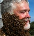 A swarm of bees clusters on bee expert Kirk Visscher's face, attracted to the queen in a cage beneath his chin.