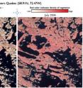 Comparison of area in Northern Quebec showing increased vegetation between 1986 and 2004. In this false-color Landsat image, more red color indicates more vegetation.