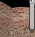 This is an artist's concept of a comet harpoon embedded in a comet. The harpoon tip has been rendered semi-transparent so the sample collection chamber inside can be seen.