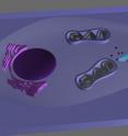 This schematic depicts the subcellular imaging of quantum dots in a living cell using a nanowire endoscope.