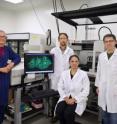 From left, Andy DeGiovanni, Pamela Peralta-Yahya, Paul Adams and  Ryan McAndrew were members of the JBEI team that determined the 3-D structure of a protein that is critical to the microbial-based production of bisabolane biofuel.