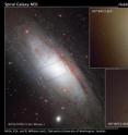 The image at left shows the nearby, majestic Andromeda galaxy. The rectangular box marks the region probed by NASA's Hubble Space Telescope (a blend of visible and ultraviolet light). The photo (top right) is 7,900 light-years across and reveals the galaxy's crowded central region. The bright area near the center of the image is a grouping of stars nestled around the galaxy's black hole. The blue dots sprinkled throughout the image are ultra-blue stars whose population increases around the crowded hub. The square box shows a close-up view of an area around the core. The detailed image, shown at bottom right, reveals a richer population of blue stars huddled around the core. Dark dust clouds also are visible. The right-hand images, taken with Hubble, are part of a census of stars in M31 called the Panchromatic Hubble Andromeda Treasury survey.