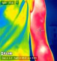 This is a typical infrared image of a subject's arm before exercising.
