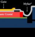 This is a cross-section of an organic transistor with vacuum-applied polymer insulator. This is a cross-section of an organic transistor with vacuum-applied polymer insulator.