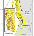 Yellow-cedar can be found growing from California to Prince William Sound in Alaska. The yellow-cedar decline occurs along a 600-mile zone from British Columbia to southeast Alaska. The extensive tree death has been mapped on about one-half million acres in southeast Alaska.