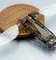 The butterfly research will aid the development of flying bug-size robots. Pictured is an insect-inspired flapping-wing micro air vehicle under development at Harvard University. The butterfly research will aid the development of flying bug-size robots. Pictured is an insect-inspired flapping-wing micro air vehicle under development at Harvard University.