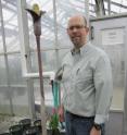 University of Utah botanist Greg Wahlert stands next to a new plant species he discovered -- <I>Amorphophallus perrieri</I> -- as it was starting to bloom on Feb. 2. A day later, the 4.5-foot-tall plant, began stinking like roadkill, just like its bigger and more famous, 20-foot-tall relative, <I>Amorphophallus titanum</I>, also known as the "corpse flower."