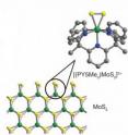 Using a molybdenite complex and thePY5Me2 ligand, Berkeley Lab researchers synthesized a molecule that mimics catalytically active triangular molybdenum disulfide edge-sites. The result is an entire layer of catalytically active material. Molybdenum atoms are shown as green, sulfur as yellow.